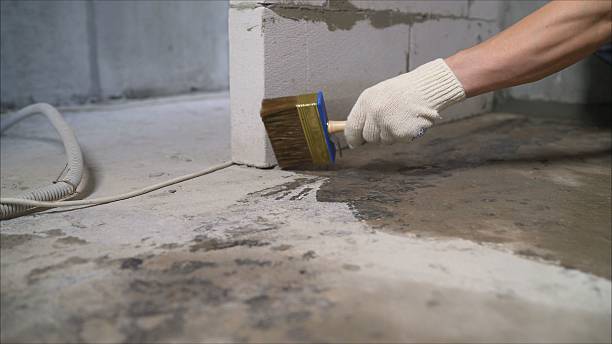 SJ Waterproofing Pros Emergency Waterproofing coverage map for Waterloo, IN and surrounding area